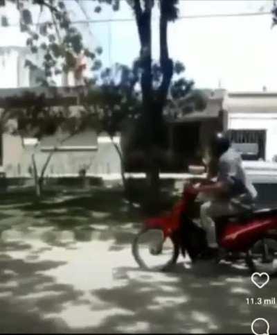 Bolud0s en moto volumen 2