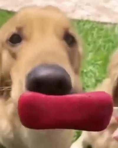 He knew what he had to do