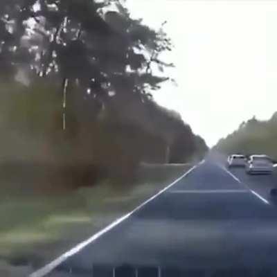 Breaking The Law! Breaking The Law!