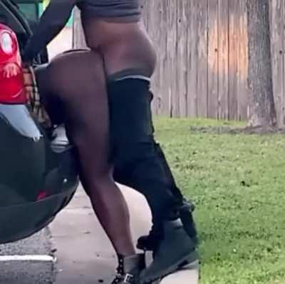 New videos up on website link down below ⬇️