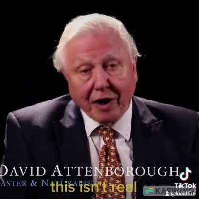 Attenborough the last chipbender