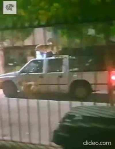 look what i found on the internet XD