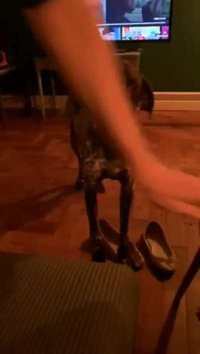 Elke's pizza protest song