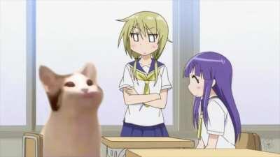 Quit making popping noises!