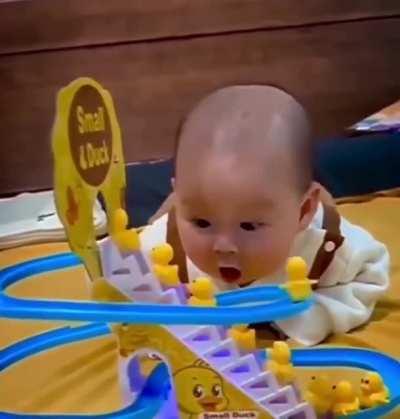 Excited to watch duck ladder toy in action