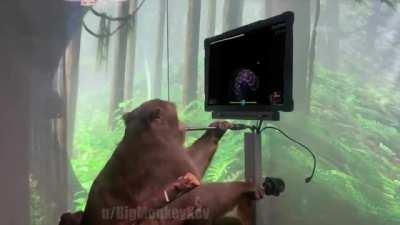 monkey playin da osu?