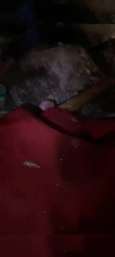 Today in Gostomel, near Bucha, in one of garages on Svyatopokrovskaya Street the police found 11 killed civilians, - the ex-head of the Ministry of Internal Affairs Avakov. According to him, locals said that the peacekeepers were killed by Russian snipers