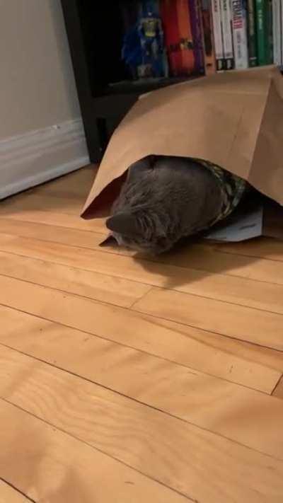 One video, three derps