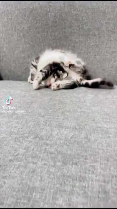 Poor thing traumatizes itself