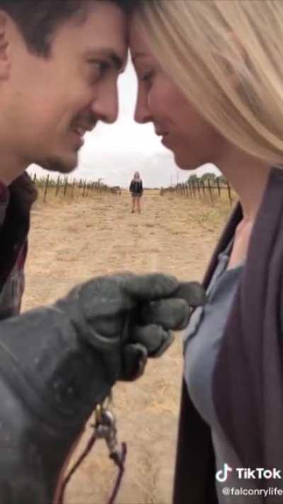 Falcon! (and there's a girl)