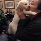 I am not the jealous type