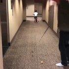 Day 26 of quarantine