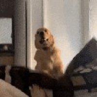 Wake. Up. And. Make. Me. Lunch!