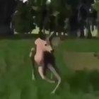 Everyone when they hear this