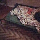 Guess I'll just lay on this fluffy pillow