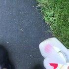 Strong bones are good but stealing is bad