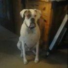 Yeah I'll bring your slippers, but I'm doing it my way!