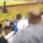 This good boy cheering on the team