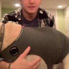 He goes so well with any song🥴