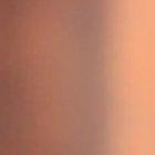 Truck driver was surprised