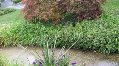 Such a beautiful sound. I wish you guys could smell this shower with me too.