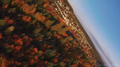 Another video — this time I tried the gimbal roll for the first time and adjusted some settings. Enjoy the beautiful nature of the Black Forest.