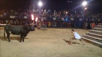 HMFT after I try to taunt this bull