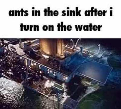 Vietnamese shoe laces be like