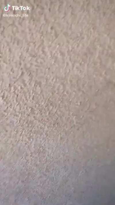 I don't know if this has been posted here or not, but i saw it, and immediately knew where it had to be posted to.