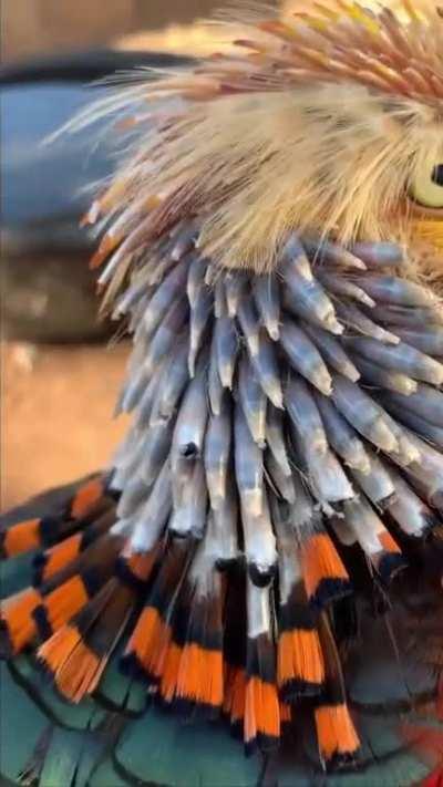 Beautiful transformation 