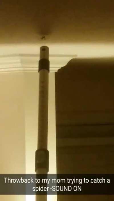 Some OC. As the caption states, this is my mom attempting to vacuum what is (for Canada) a big ass spider.