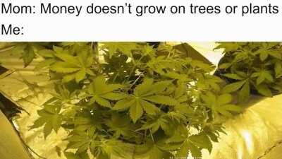 I'm just gonna post this here aswell