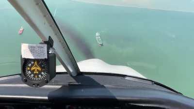 Intrusive thoughts almost won again! Stay on your meds fellow Pylots!