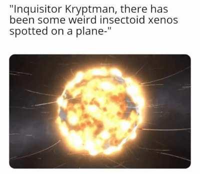 Turns out it was actually the Vespids