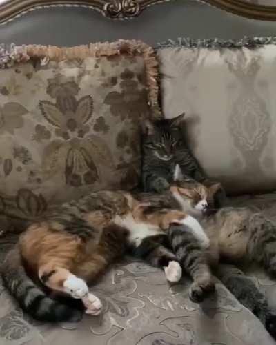 After a hard day at work