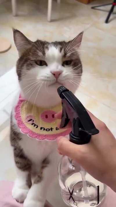 Bro is tasting every single H2O