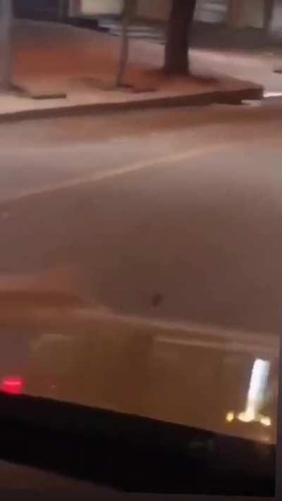 EL SENOR DE LA NOCHEEEEEE