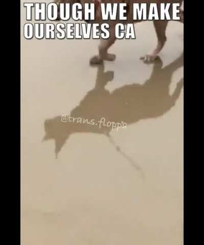 Variations on a Flop