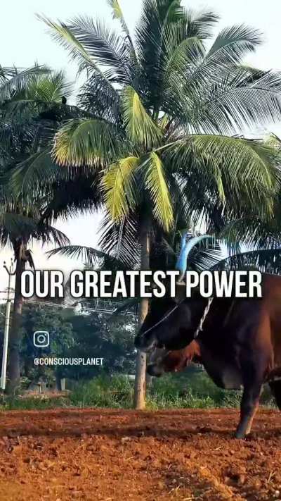 It's Mother Earth Day, let's speak up for her