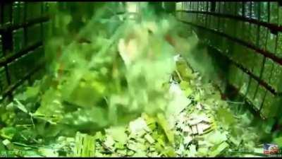 HMFT after i try to sneak past