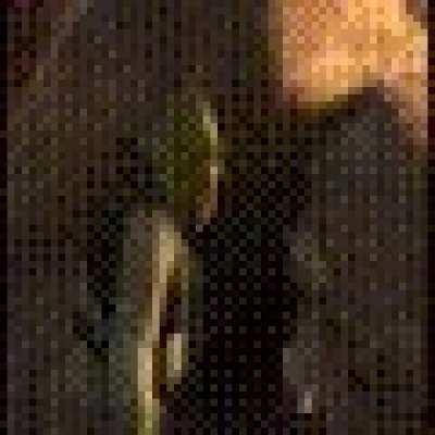 The entire Shrek movie as a gif