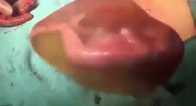 I don’t know why I thought there was less space for the baby as they matured