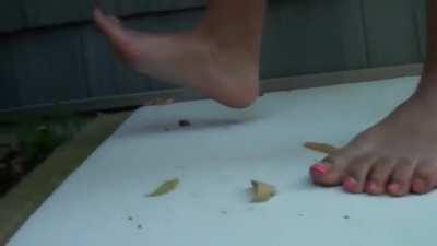 Sweet Southern Feet girl crushes many ants using fingers and bare feet