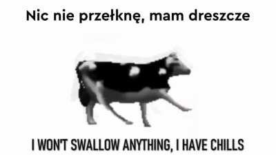 chaves: aprende 1 palavra em polones/ kiko: