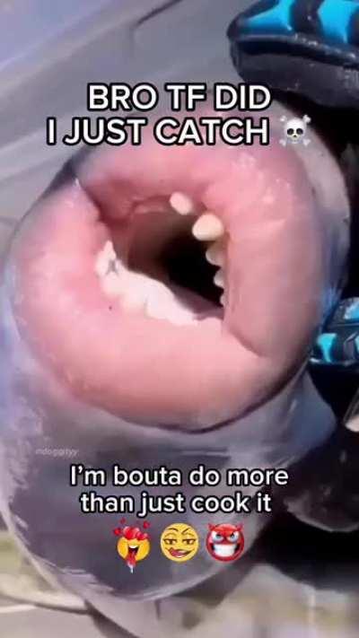 what is he gonna do to that fish