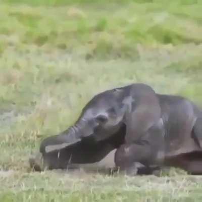 Guys, I crashed into my mom’s leg at high speed. You won’t believe what happened next!