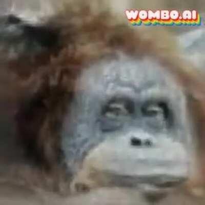 Fortnite 😇😇🥰🥰🥰