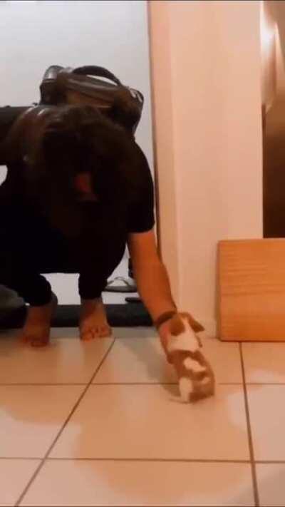 wee little puppy says “welcome home” with every wiggle it has