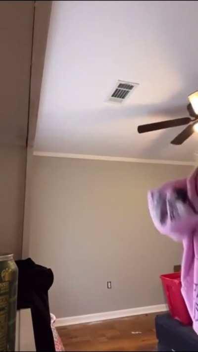 Still in the frame - Tits McGee