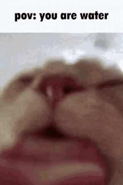 Day 1 of posting POV memez